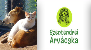 Árvácska