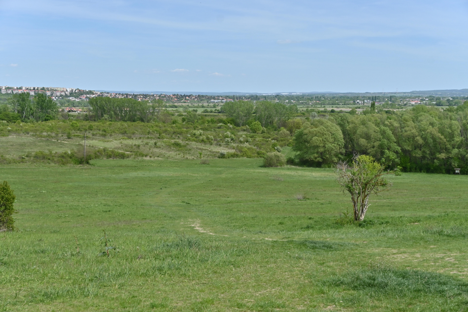 Galéria kép 3