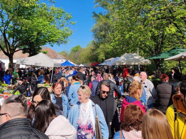 Termelői piac – Fotó: Szentendre Tourinform
