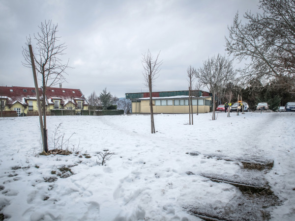 Galéria kép 11