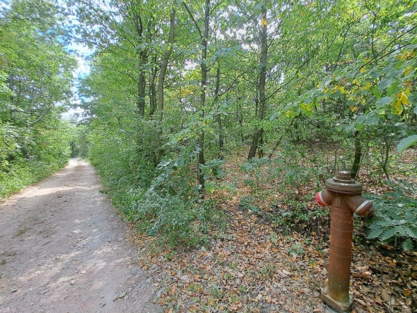 Galéria kép 4