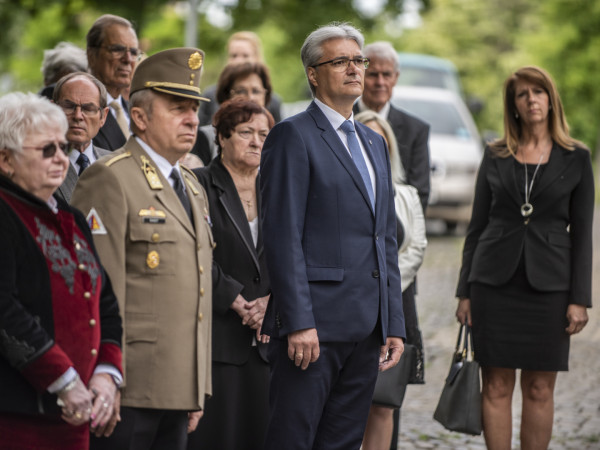 Galéria kép 8