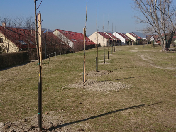 Galéria kép 12