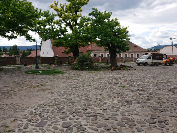 Galéria kép 2