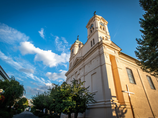 Galéria kép 6