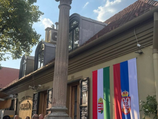 Galéria kép 5