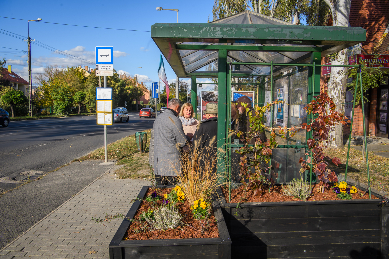 Galéria kép 4