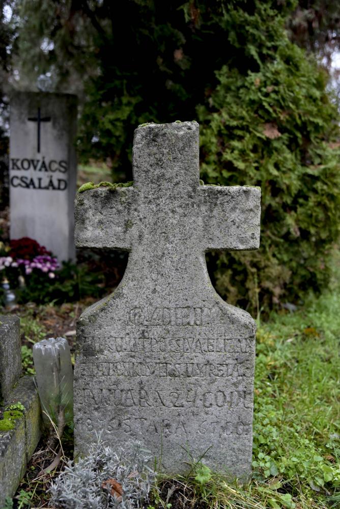 Galéria kép 3
