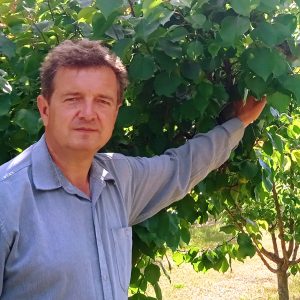 A Kőhegy sárgabarack-ültetvény tulajdonosa, dr. Imre Csaba